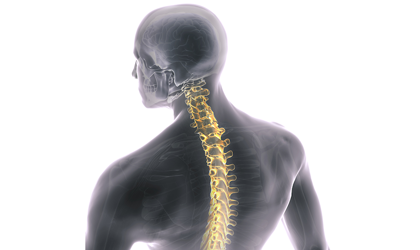 Thumbnail_Neuro 1.png